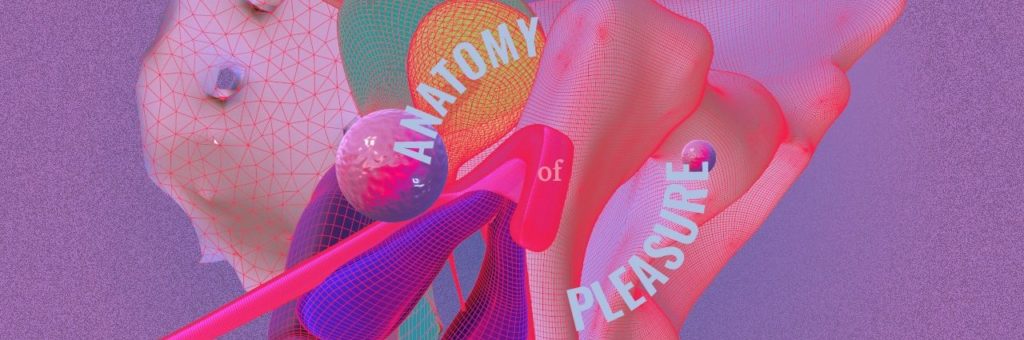 Sex Tech Startups: Anatomy of Pleasure