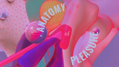 Sex Tech Startups: Anatomy of Pleasure